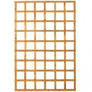 Trellis 6' x 5'