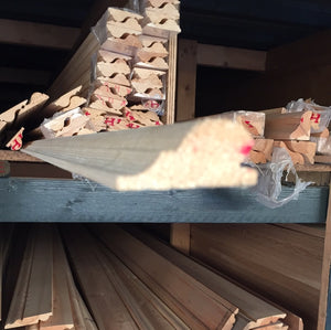 EX 25x50MM Picture Rail 4.2M